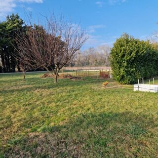  Maison à vendre 5 pièces 100 m²