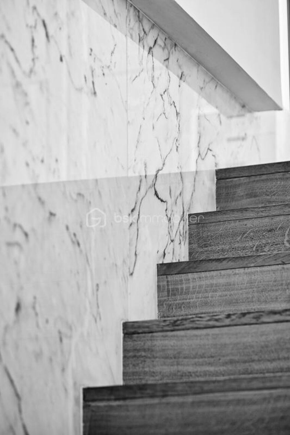  vendre  Villa Nancy (54000)