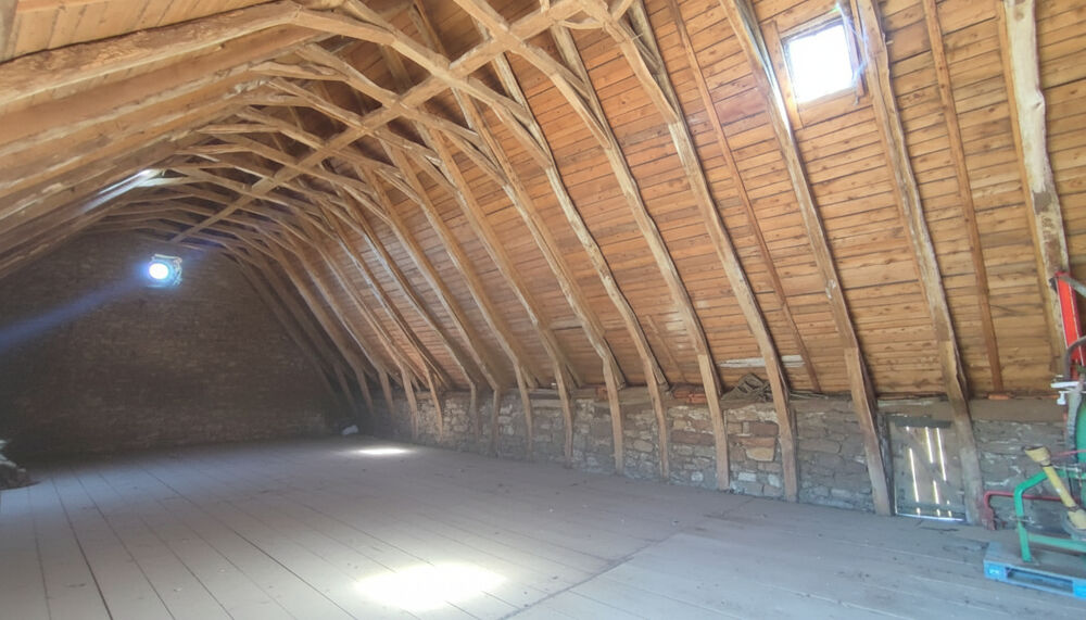 Vente Remise/Grange Grange avec beau terrain attenant et vue dégagée, 15400 Trizac Trizac