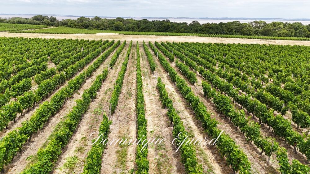 à vendre  Propriété/château Saint-Yzans-de-Médoc (33340)