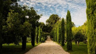  Propri�t�/ch�teau � vendre 14 pi�ces 950 m�