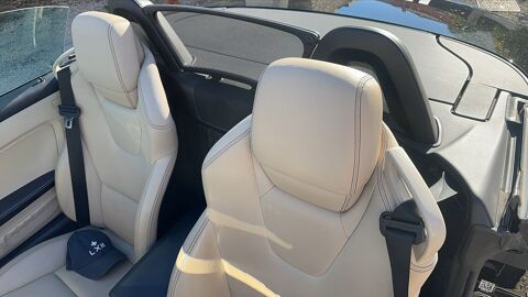 Classe A III 200 K BlueEFFICIENCY N/A 2014 occasion 83790 Pignans