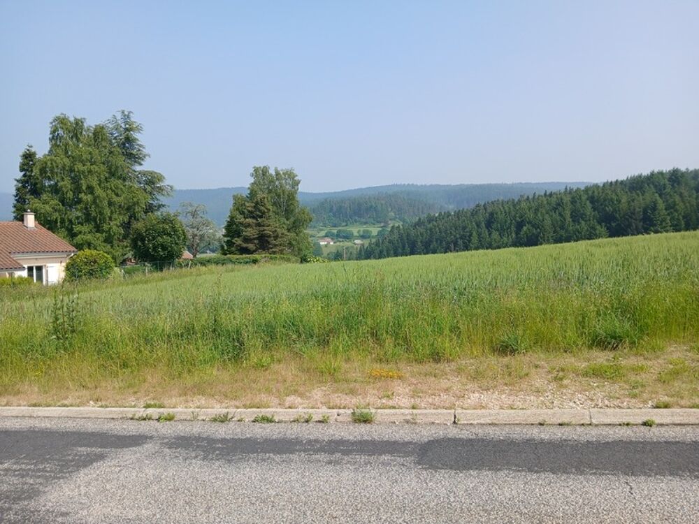 Vente Terrain Terrain à vendre de 950,00 m² DUNIERES (43) Dunieres