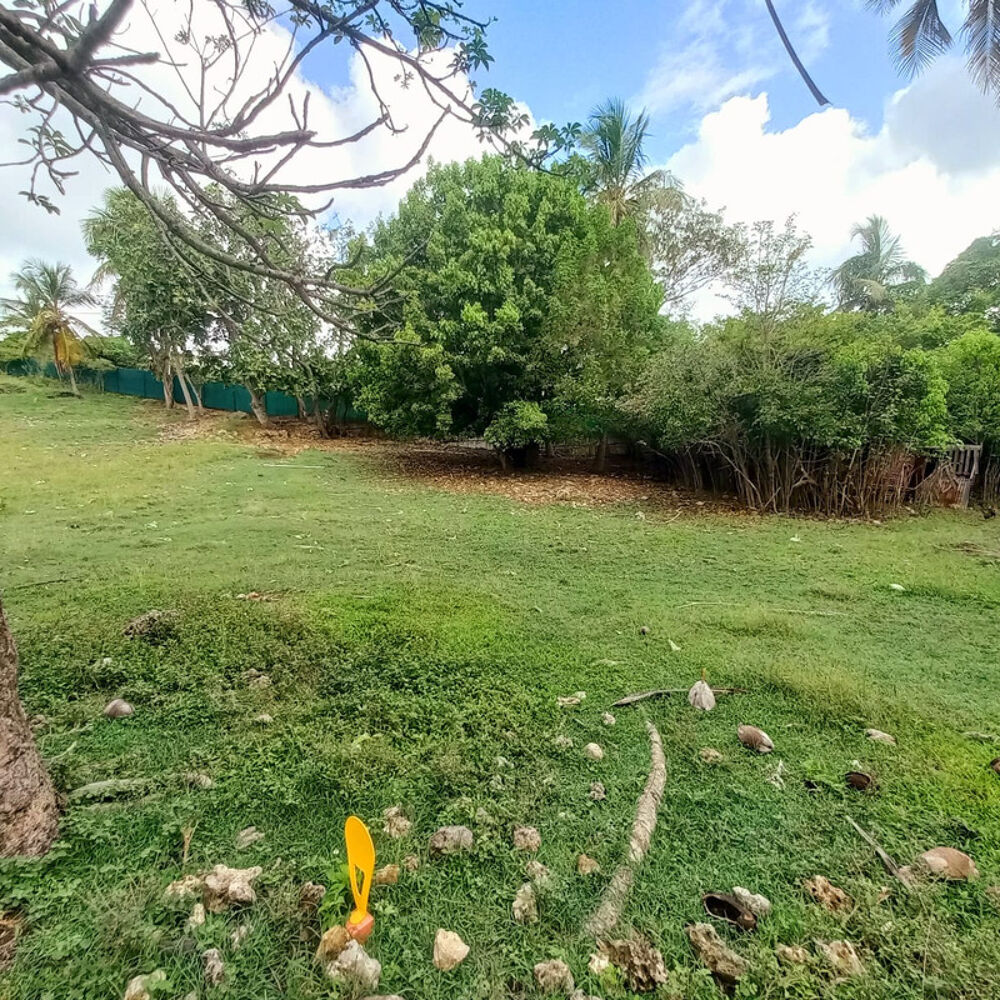 Vente Terrain Terrain constructible à vendre DAMPIERRE LE GOSIER (971) Le gosier