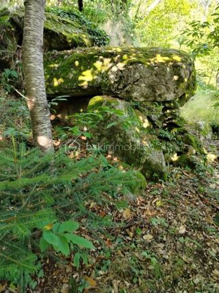  Terrain � vendre 5400 m�