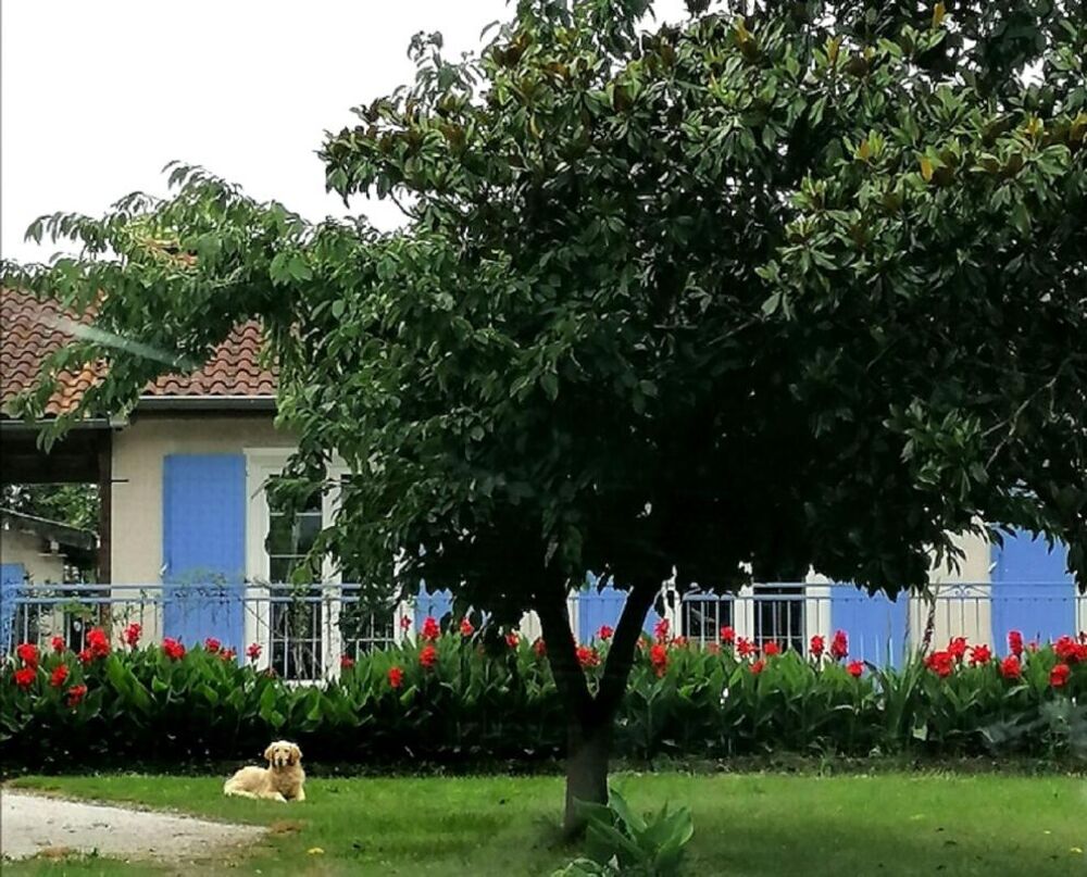Vente Maison SECTEUR COUFOULEUX-TOULOUSE MAISON T4 DE 100 M2 -TERAIN 12000 M2 Loupiac
