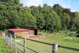  Propri�t�/ch�teau � vendre 12 pi�ces 308 m�