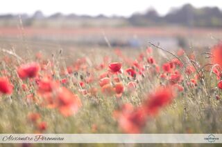  Terrain � vendre 1137 m�