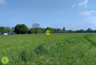  Terrain à vendre 6111 m²