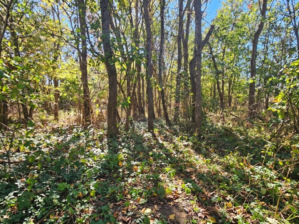 Vente Terrain En exclusivité, terrain à vendre de 852 m² Clerlande