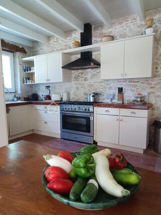  Propriété/château à vendre 15 + pièces 440 m²