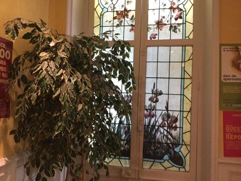 Le charme de l'Art D&eacute;co au service de votre activit&eacute; professionnelle 355000 37100 Tours