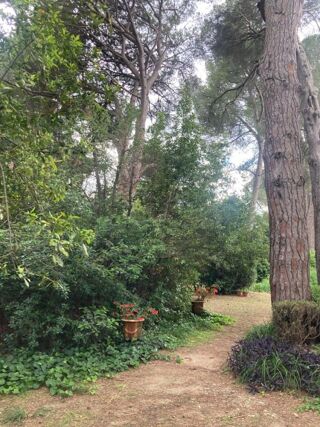  Propri�t�/ch�teau � vendre 9 pi�ces 260 m�