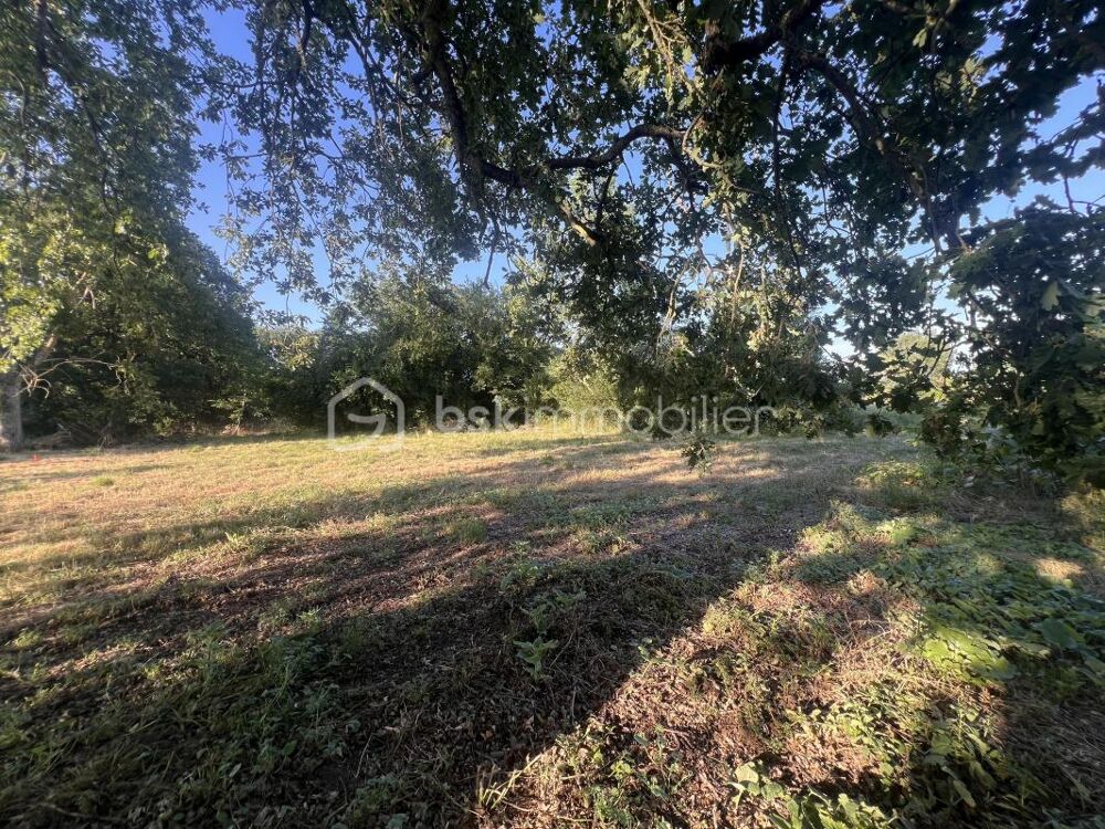 Vente Terrain Terrain de 932m2 sur la commune de Tercé Terce