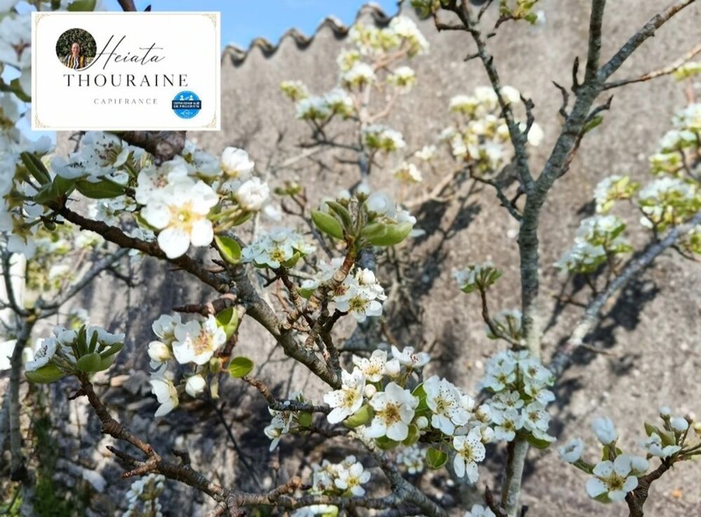 Maison Poitevine 9 pièces à 3 minutes de Saint Maixent L'école à NANTEUIL (79)