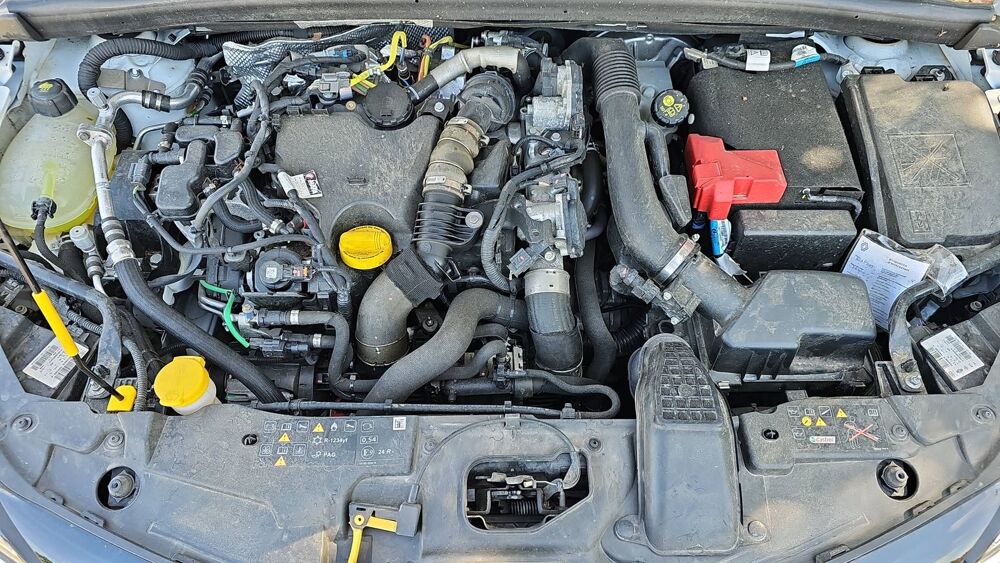 Clio 1.5 Blue dCi 100 Business 2022 occasion 95130 Franconville