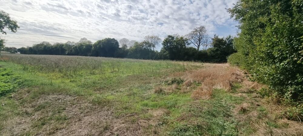 Vente Terrain SURGERES Surgeres