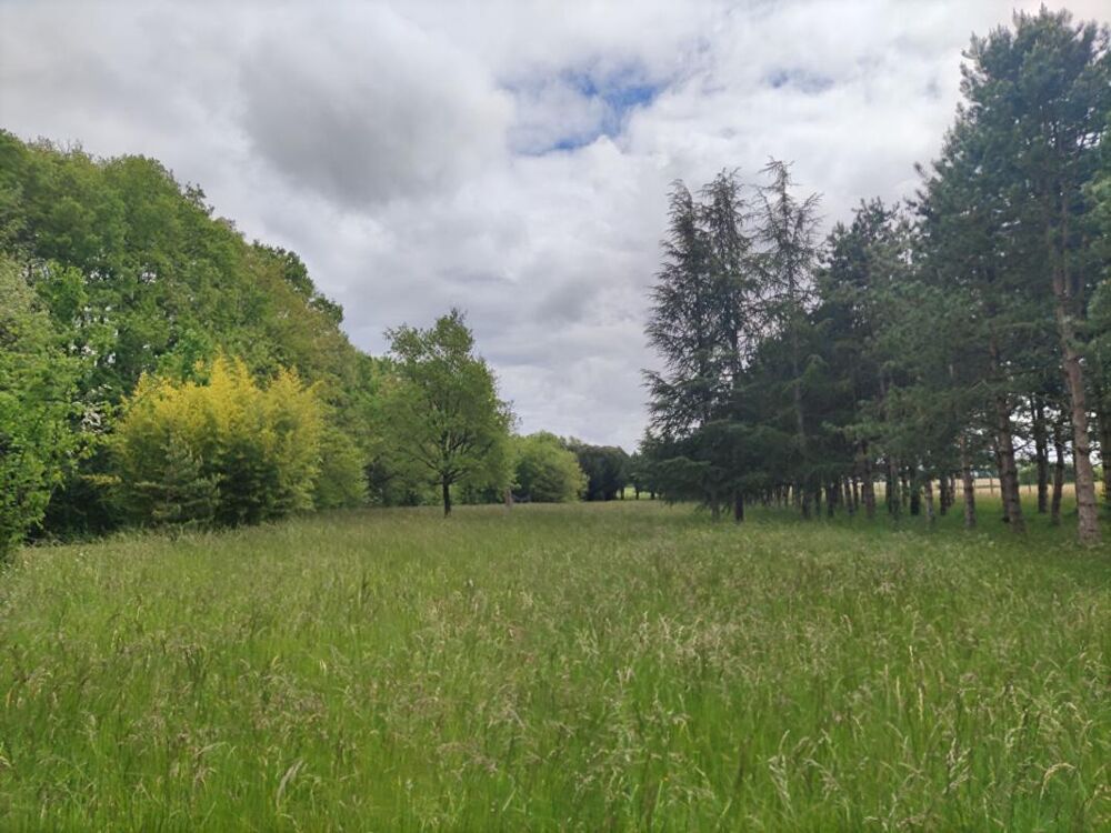 Vente Terrain Terrain de chasse et de loisirs Mignaloux Beauvoir Mignaloux beauvoir