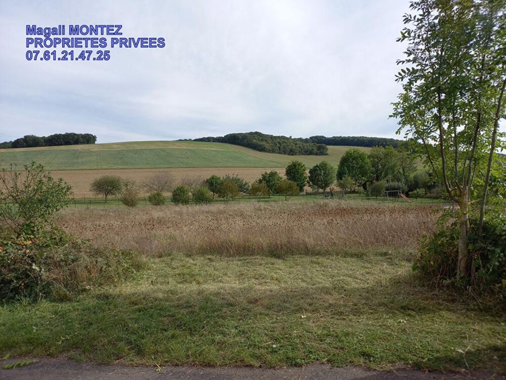 Vente Terrain TERRAIN A BATIR DE 3034 m2 - AIX VILLEMAUR PALIS 10160 Aix en othe