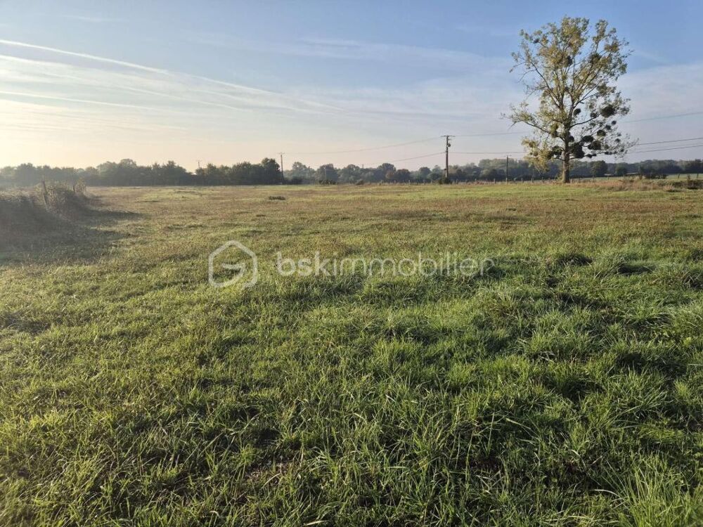 Longère avec près de 5 hectares  prairie, bois, potentiel  secteur Sud Sarthe / Nord Touraine