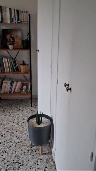  Appartement � louer 2 pi�ces 50 m�