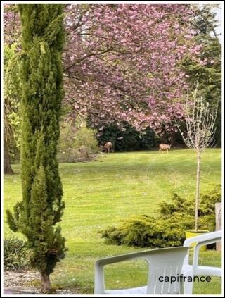  Villa � vendre 10 pi�ces 319 m�