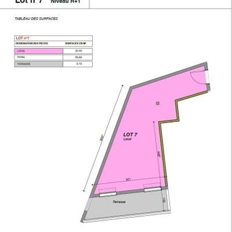   LOCAUX A VENDRE BASTELICACCIA 