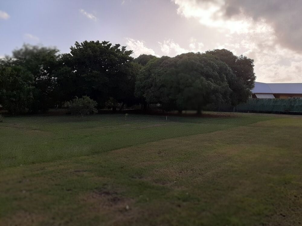 Vente Maison Dpt Guadeloupe (971), à vendre SAINT FRANCOIS maison P5 de 134,03 m² - Terrain de 8 528,00 m² - Plain pied Saint francois
