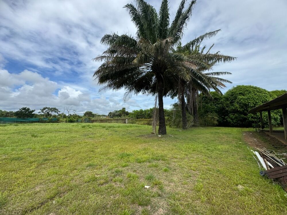 Vente Maison Exceptionnelle Maison a rénover sur une parcelle de 5000 m2 bord de RN1 Macouria Macouria