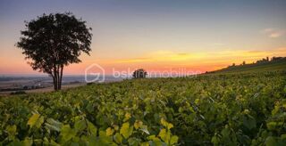  Terrain � vendre 16310 m�