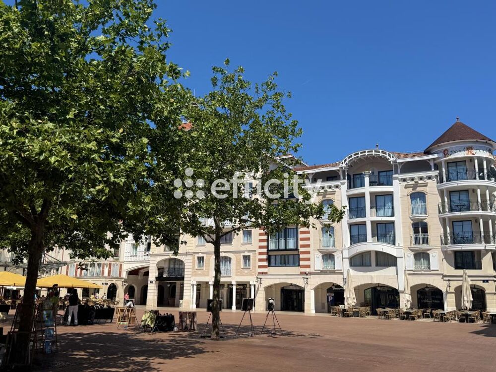   Commerces/Negoce 
