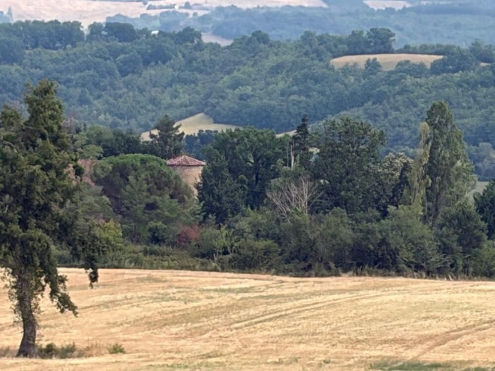 Vente Propriété/Château MARCIAC(32): ancienne SEIGNEURIE avec BEAU CHATEAU XIV sur 3,5ha, cachée, au bout du chemin, sans voisin, en campagne, 500m2 hab Marciac