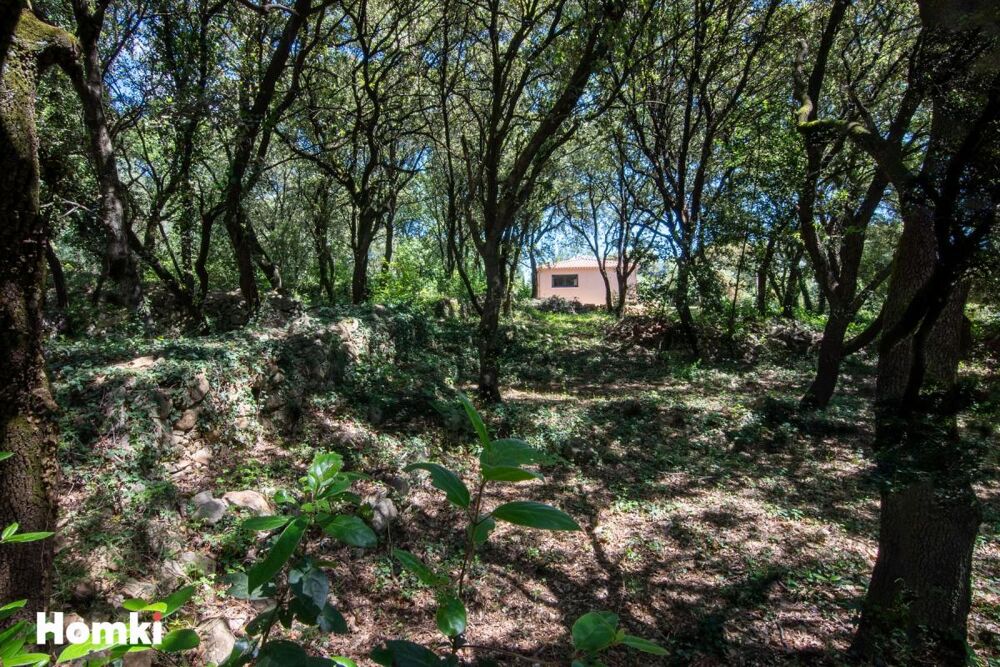 Vente Maison Splendide maison neuve T3/T4 de 97 m² avec jardin arboré de 1640 m² Saint privat des vieux