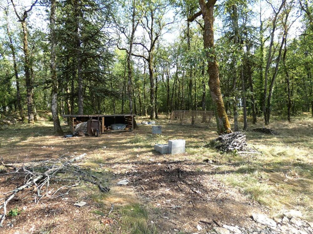 Vente Maison Maison bois 25 m2 / terrain boisé 2185m² Sainte eulalie d ans