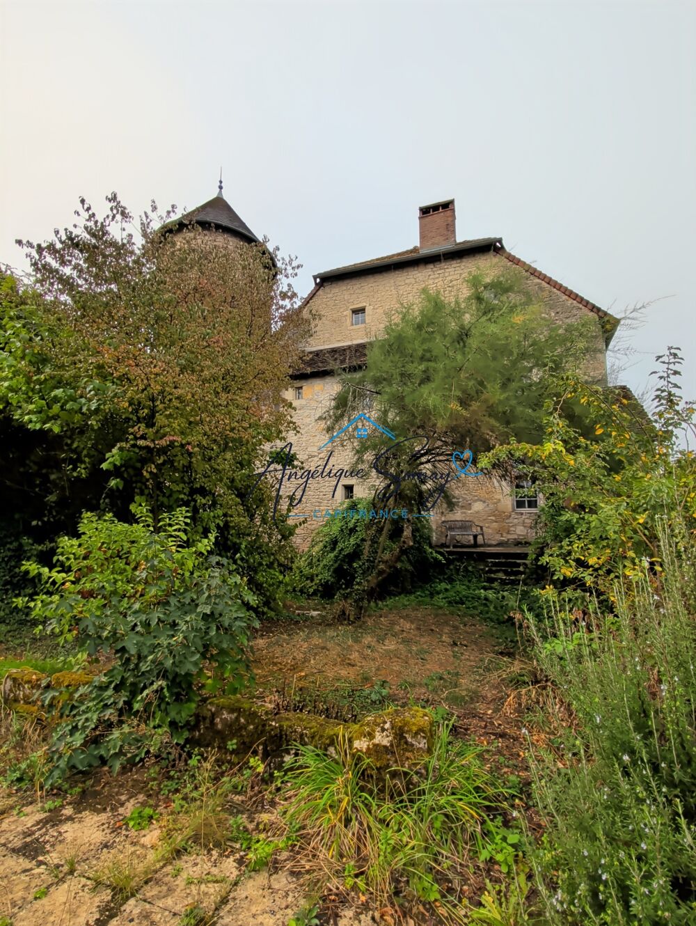 Vente Maison ARLAY – DEMEURE EN PIERRE DU XVIe SIÈCLE, TOUR ET CAVE VOÛTÉE Arlay