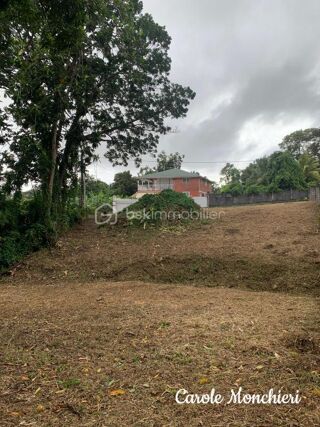  Terrain � vendre 817 m�