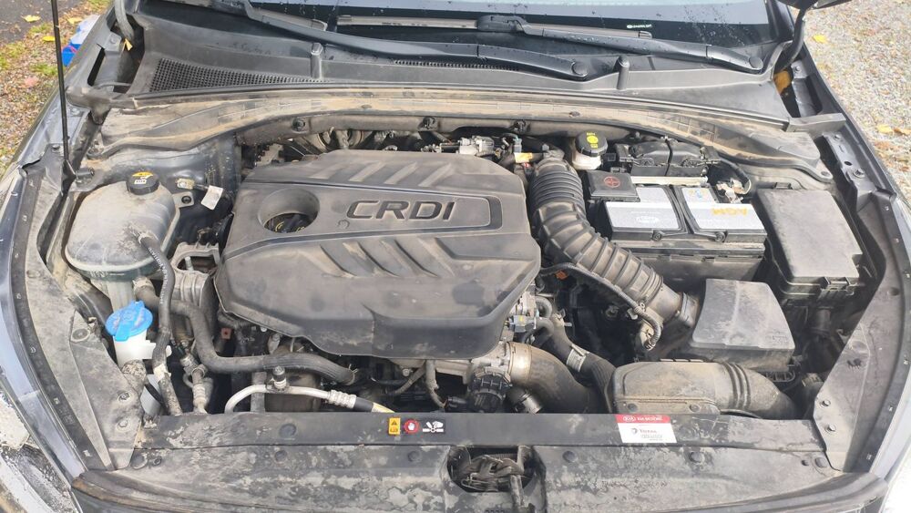 Ceed 1.6 CRDi 136 Myld Hybrid DCT7 Gt 2021 occasion 60650 Saint Aubin En Bray