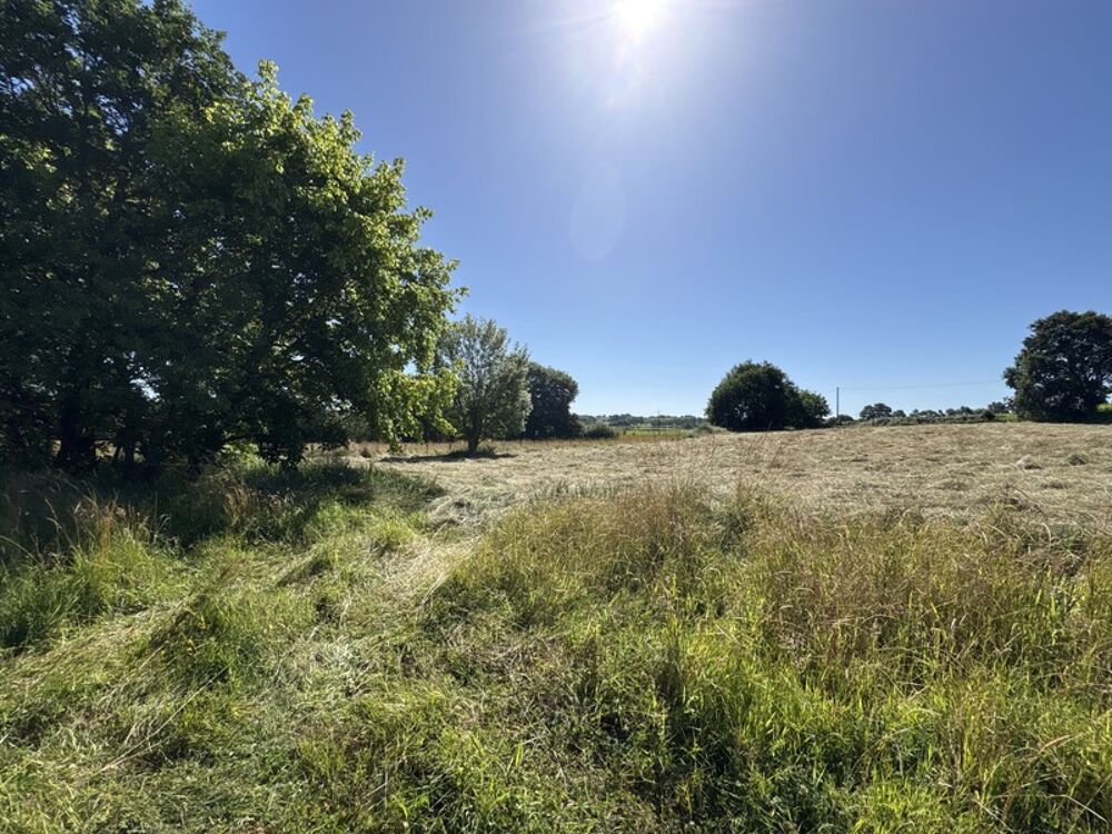 Vente Terrain Proche Orthez (64) - À VENDRE - Terrain constructible de 1,4ha idéal promoteur ou lotisseur Orthez