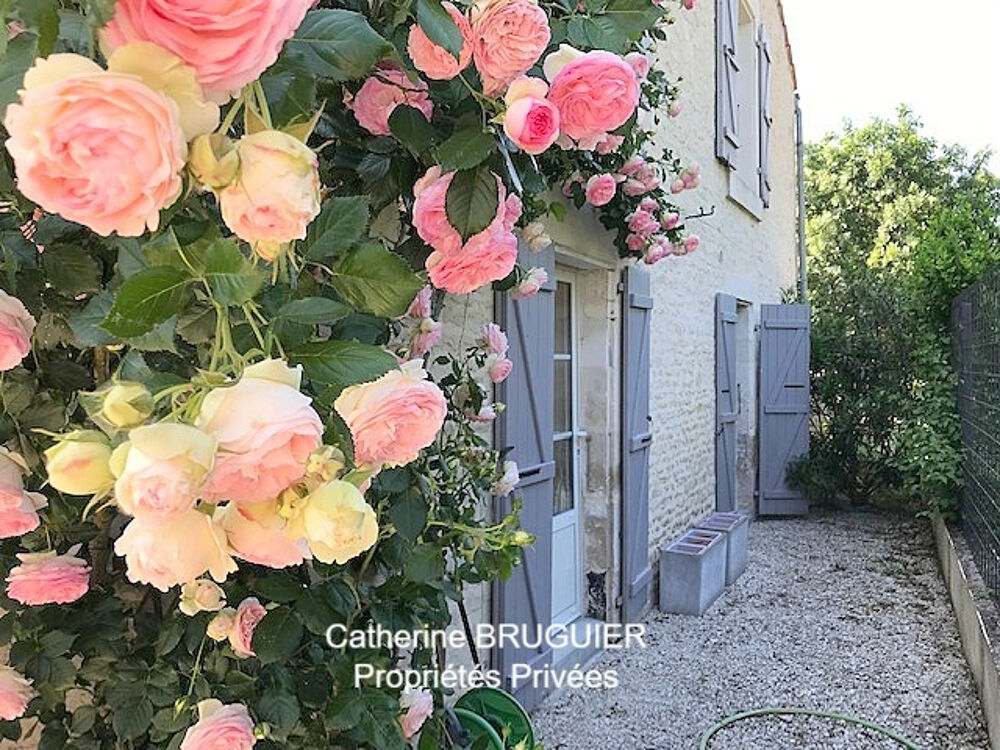 Belle charentaise rénovée - 198 m² - 6 chambres- Marais Poitevin