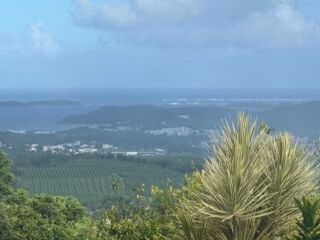  Villa � vendre 5 pi�ces 272 m�