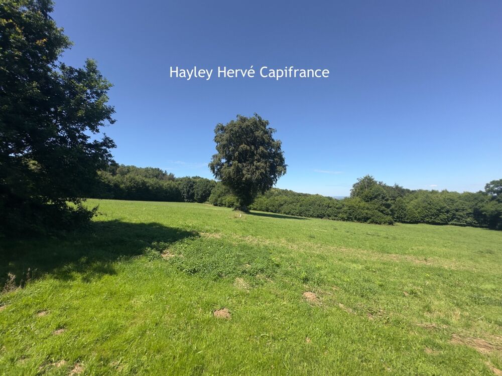 Vente Maison Propriété à vendre Proche Vire Calvados  (14) avec deux maisons d'habitation sur un terrain de 9 Hectares - Propriété équestre / Saint germain de tallevende