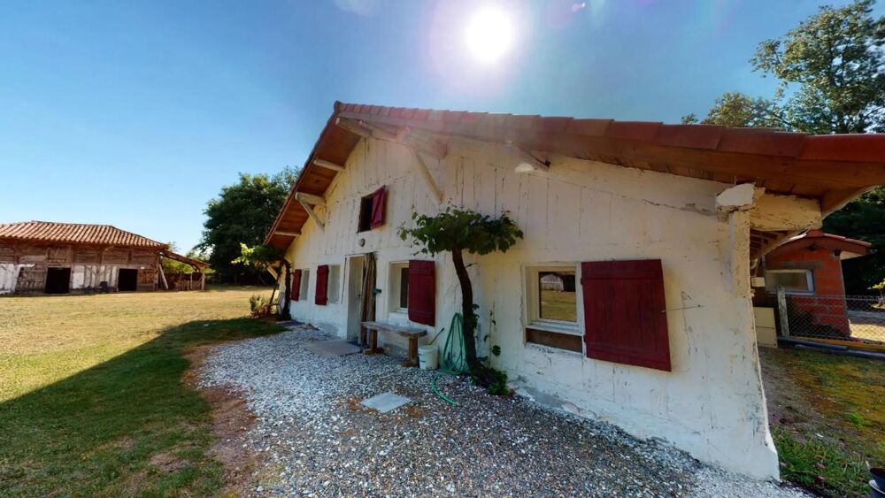 Magnifique et authentique Airial des Landes
