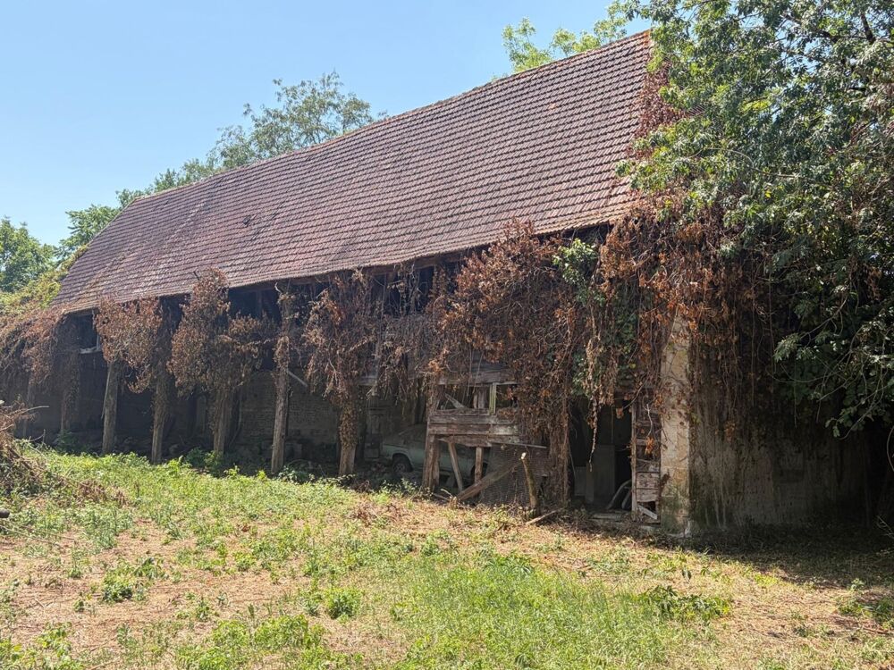 Vente Propriété/Château PLAISANCE du GERS proche(32): ANCIENNE PROPRIETE BOURGEOISE avec dépendances, bois, petit etang, 2 hectares,CALME, sans vis à vi Plaisance