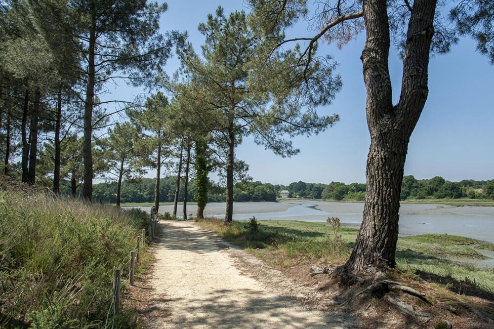 Vente Propriété/Château Demeure contemporaine Vannes Conleau Vannes