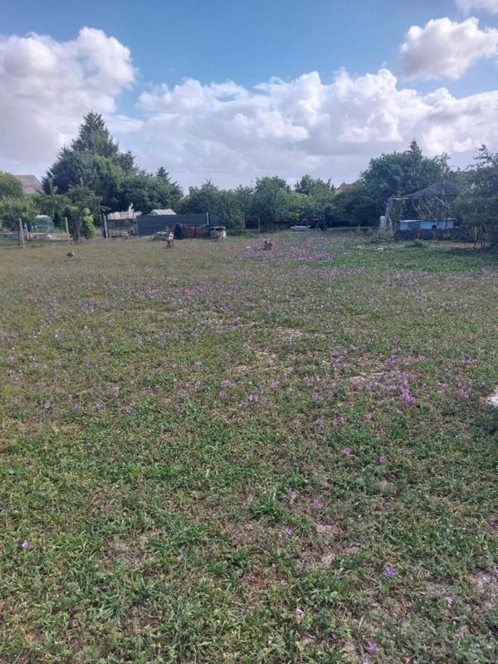 Vente Terrain Terrain à vendre de 1 200,00 m² AULNAY (17) Aulnay