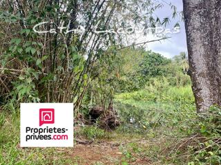  Terrain à vendre 10000 m²