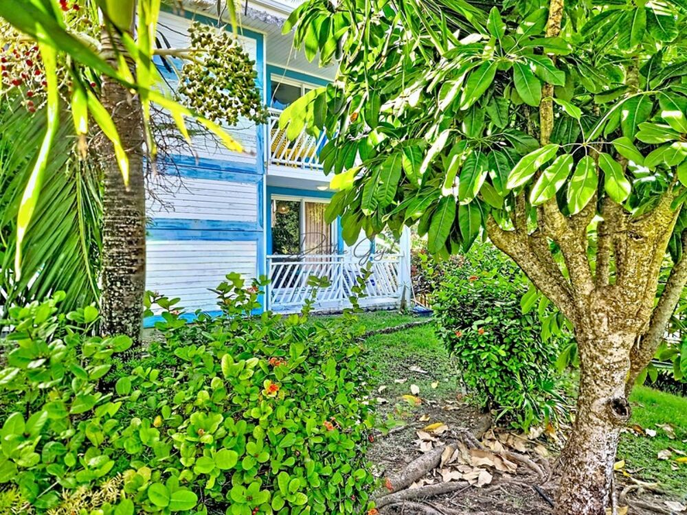 Vente Appartement STUDIO MEUBLÉ CLIMATISÉ – PISCINE & ACCÈS PLAGE – MANGANAO SAINT-FRANÇOIS Saint francois
