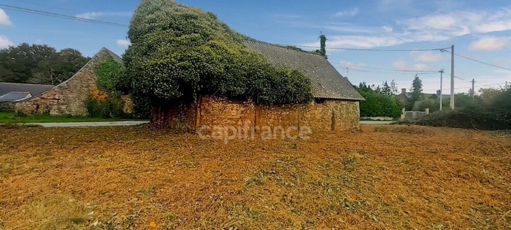 Vente Remise/Grange Terrain constructible avec grange Coesmes
