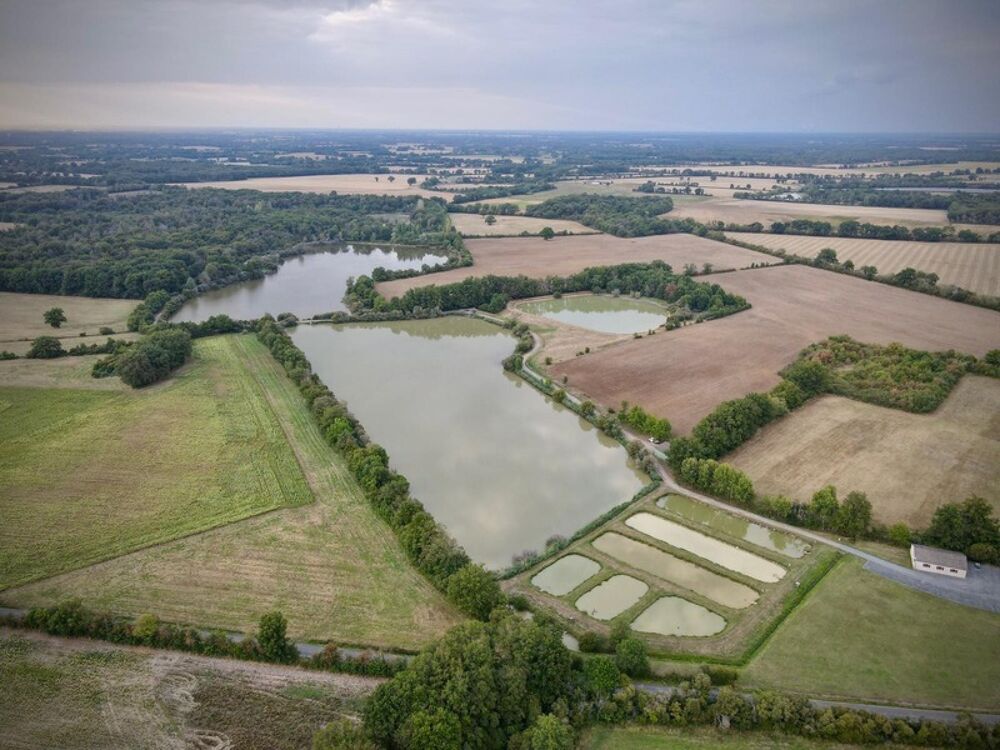 Opportunité d'affaires exceptionnelle : domaine de 24 hectares comprenant 15 hectares d'étangs, parfait pour divers projets tour