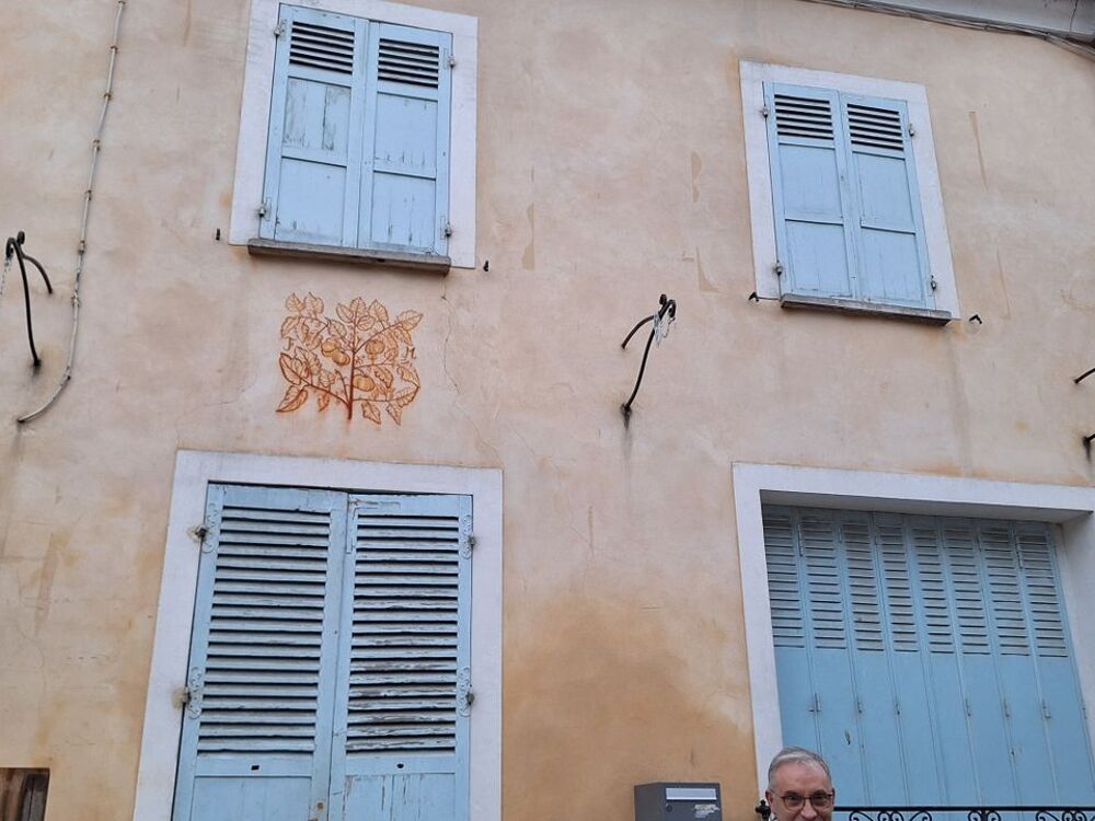 Location Maison Maison de 80m2 à louer sur Brie-Comte-Robert Brie comte robert